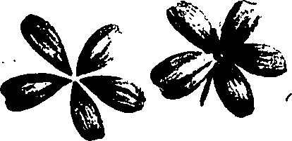 099/099320011400850_0.png