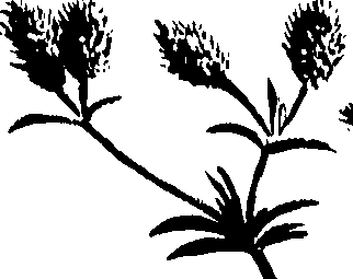 099/099320011400870_0.png