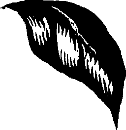 099/099320011400890_0.png