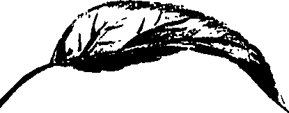 099/099320011400890_1.png