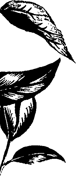 099/099320011400890_2.png