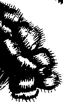 099/099320011400890_3.png