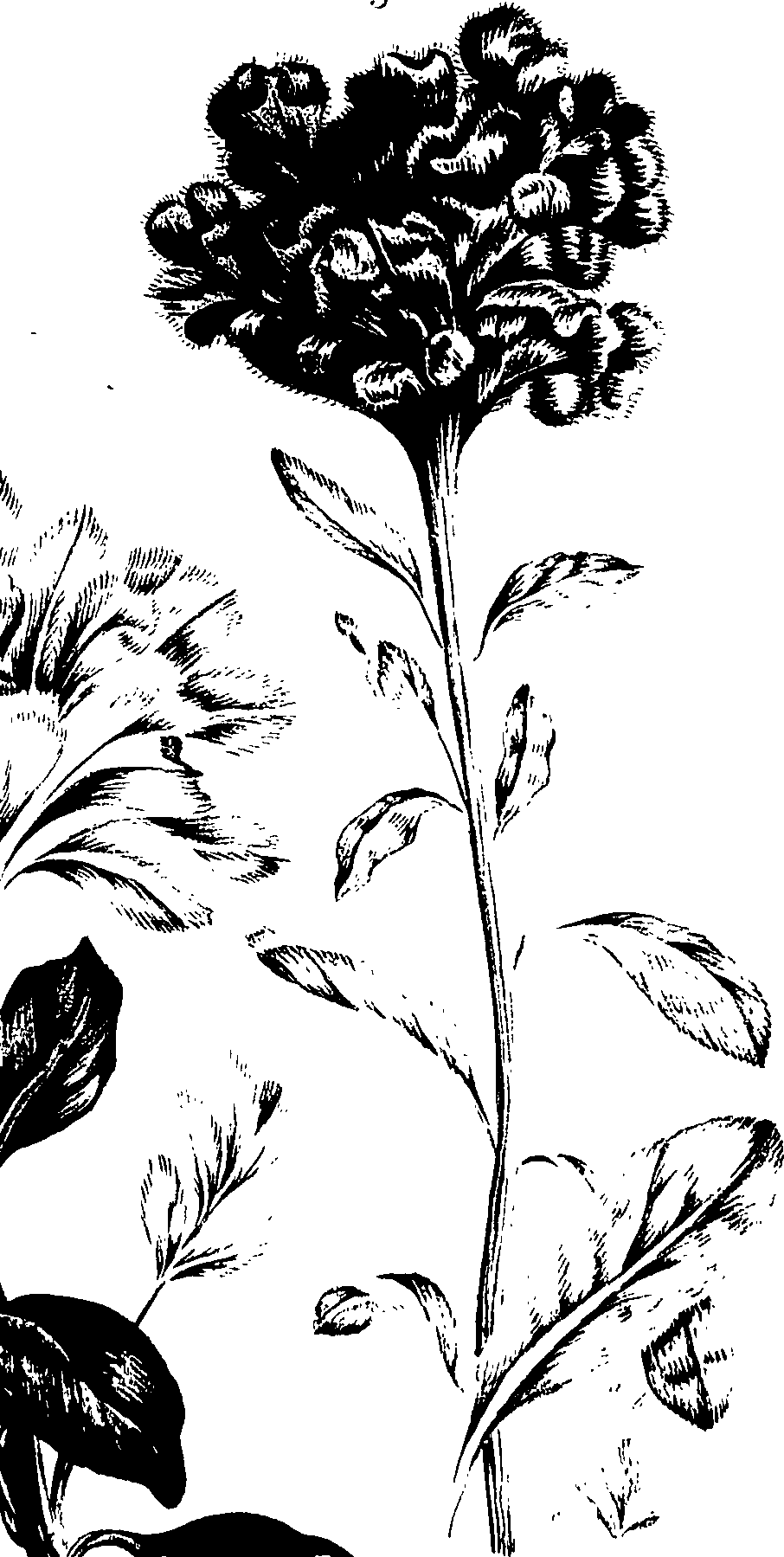 099/099320011400900_0.png