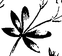 099/099320011400910_1.png