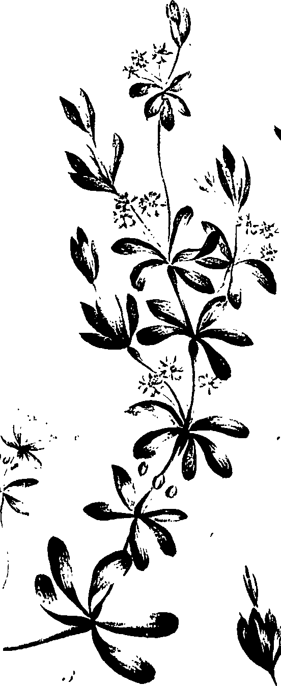 099/099320011400910_2.png