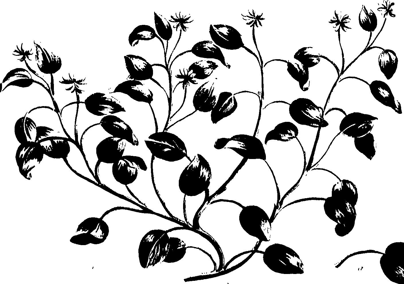 099/099320011400920_0.png