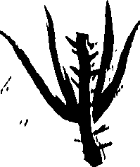 099/099320011400940_0.png