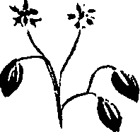 099/099320011400960_0.png