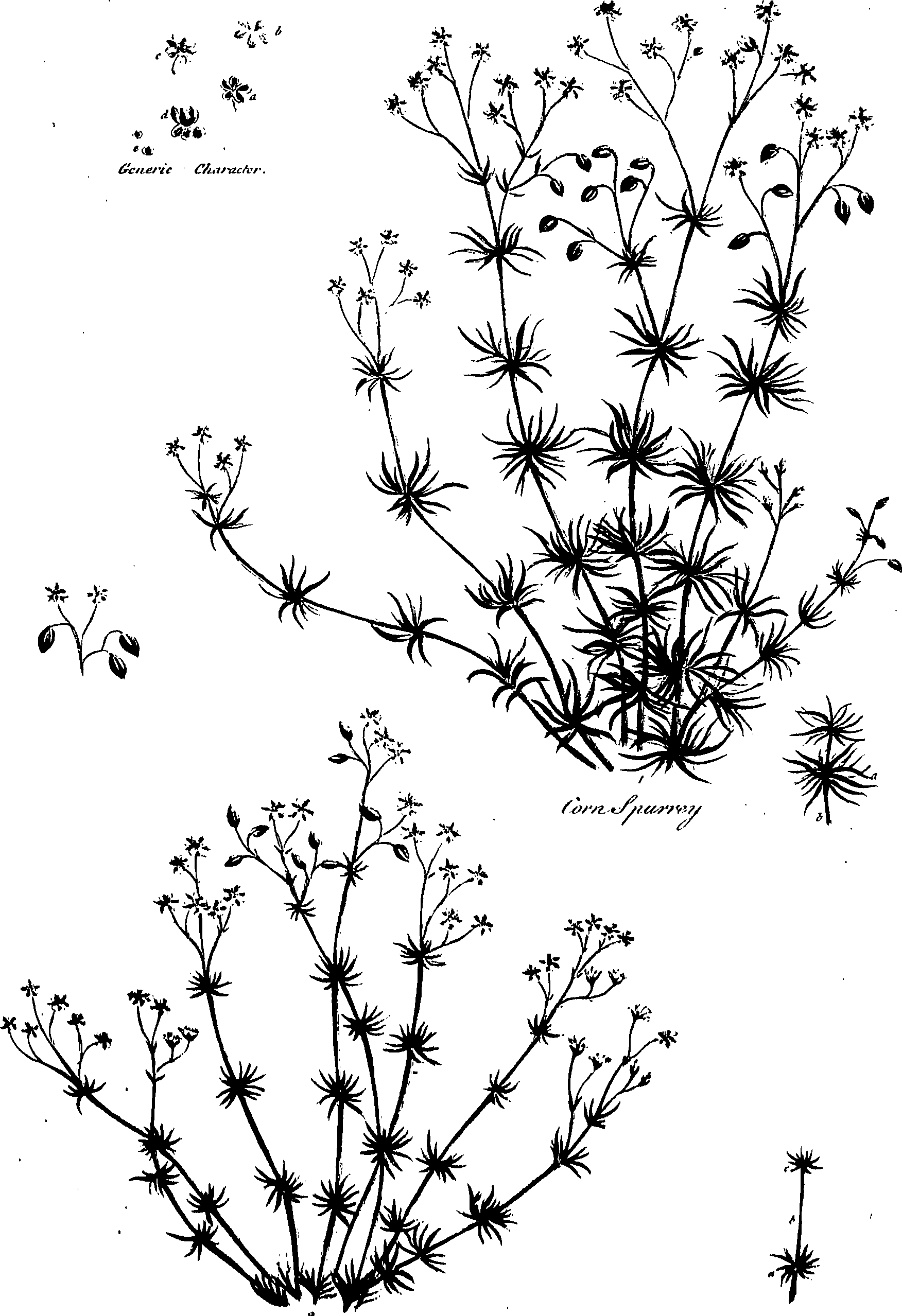 099/099320011400960_1.png
