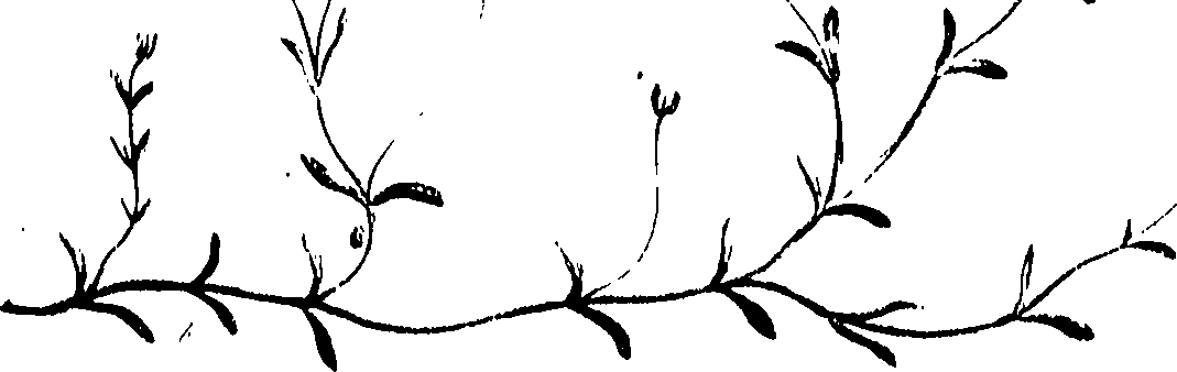 099/099320011400970_0.png