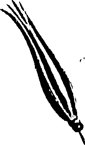 099/099320011400990_0.png