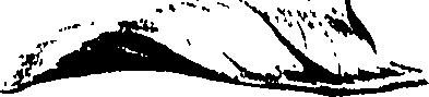 099/099320011400990_1.png