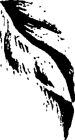 099/099320011400990_2.png
