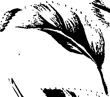 099/099320011400990_3.png