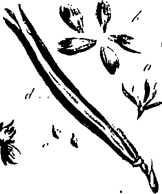 099/099320011400990_4.png