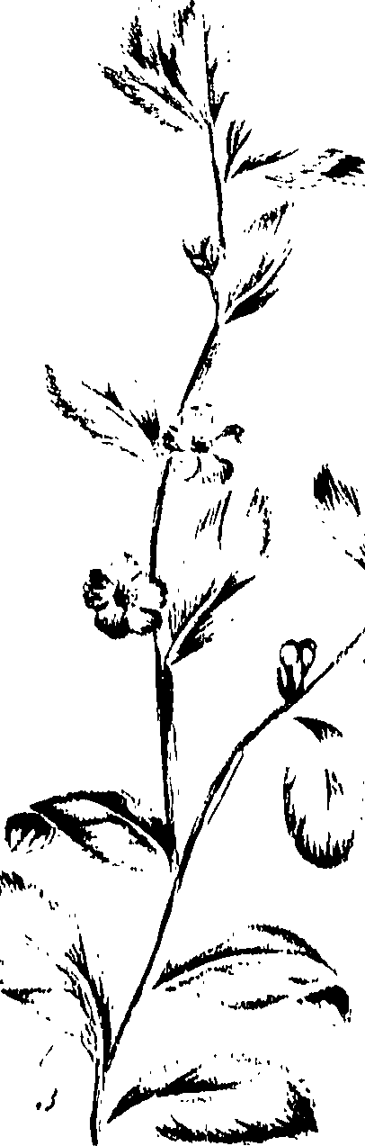 099/099320011401000_0.png