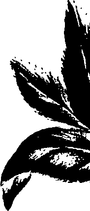 099/099320011401000_1.png