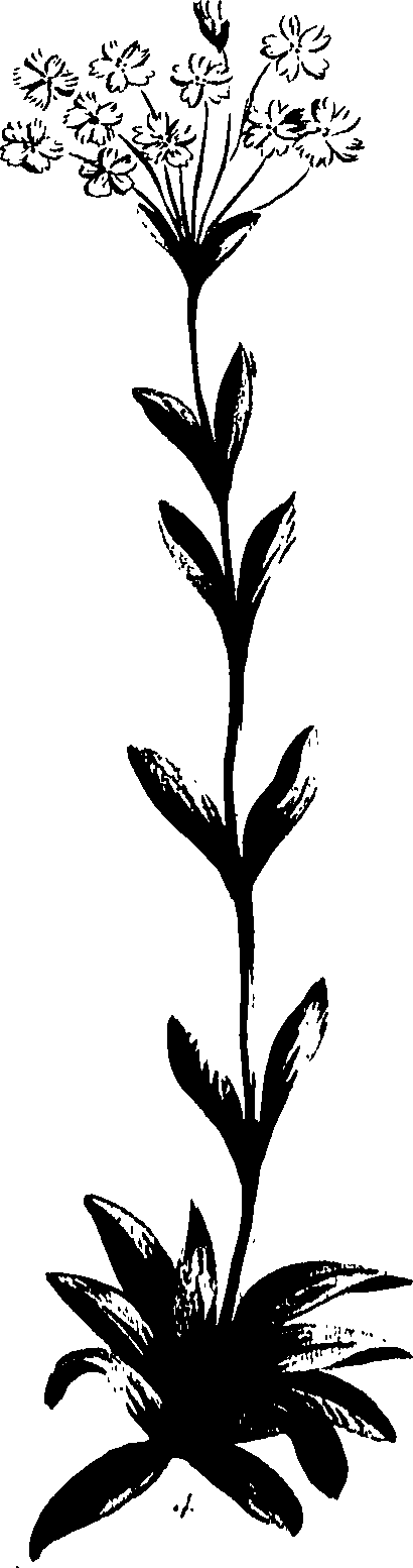 099/099320011401010_0.png