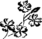 099/099320011401010_1.png