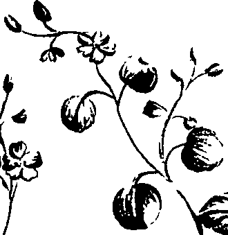 099/099320011401010_2.png