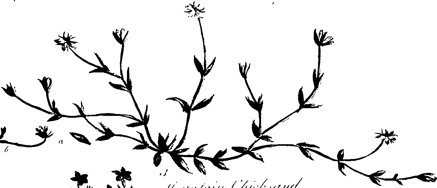 099/099320011401030_0.png