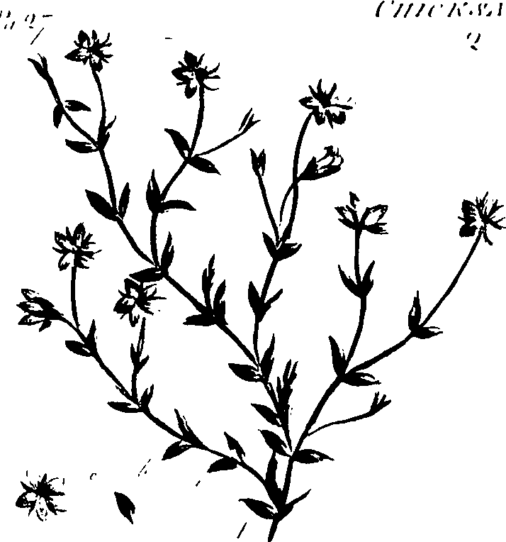 099/099320011401030_1.png
