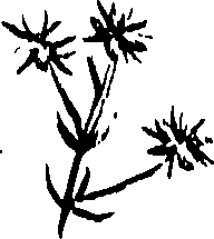 099/099320011401040_0.png