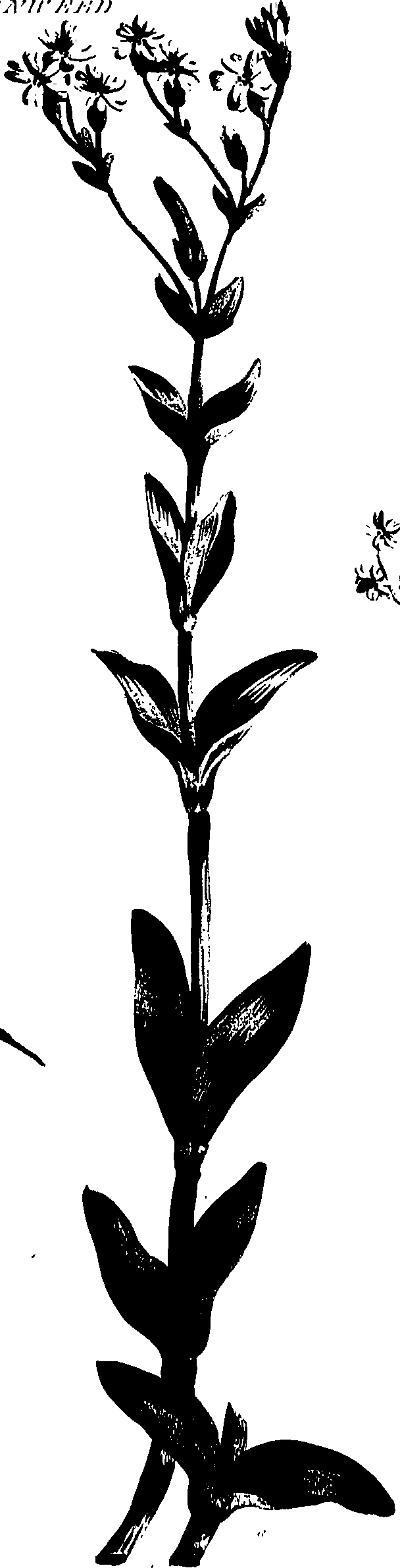 099/099320011401060_0.png