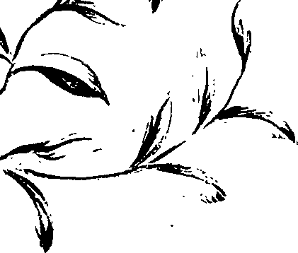 099/099320011401080_1.png