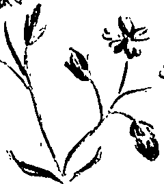099/099320011401080_2.png