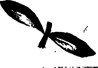 099/099320011401090_0.png