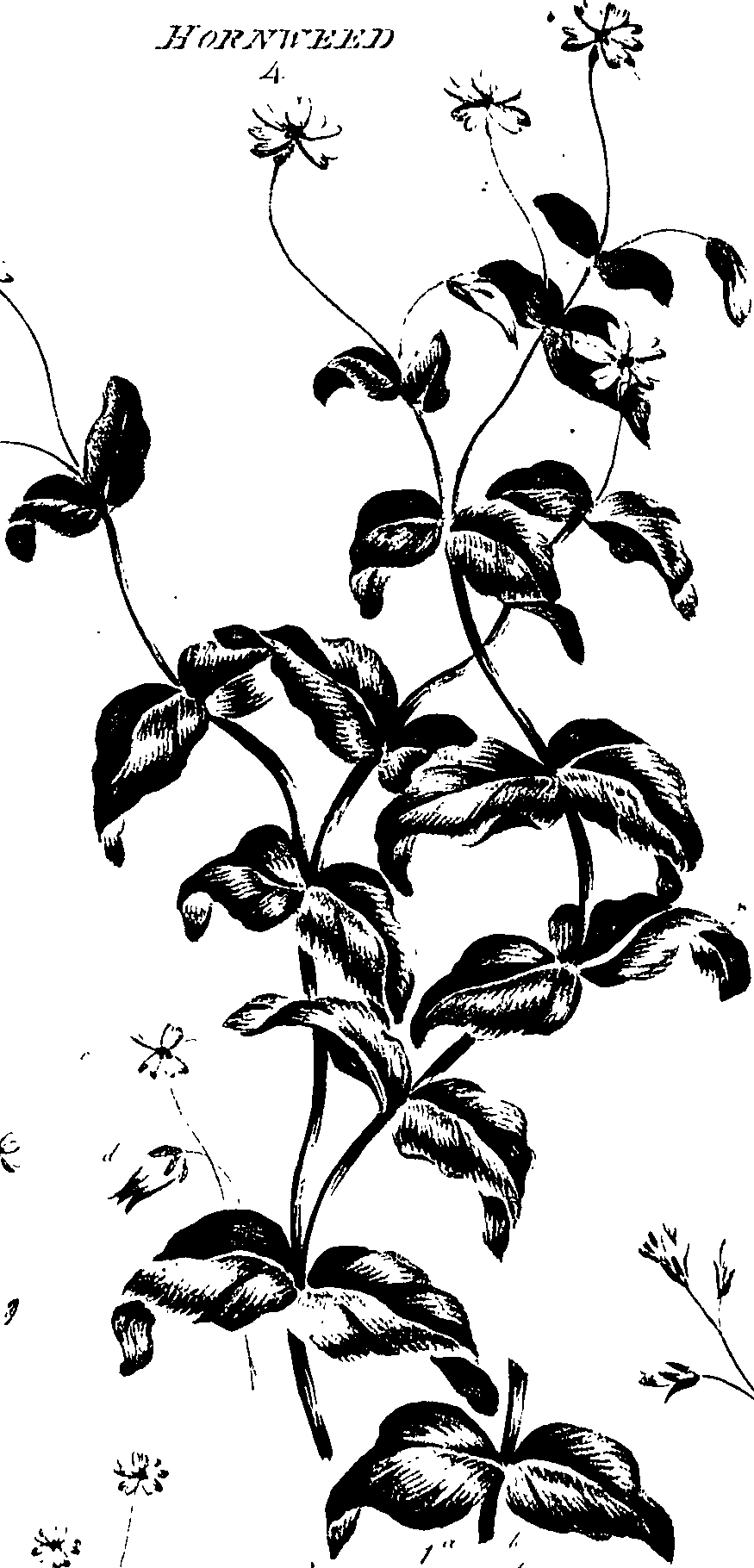099/099320011401090_1.png