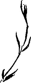 099/099320011401100_1.png