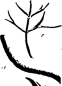 099/099320011401110_0.png