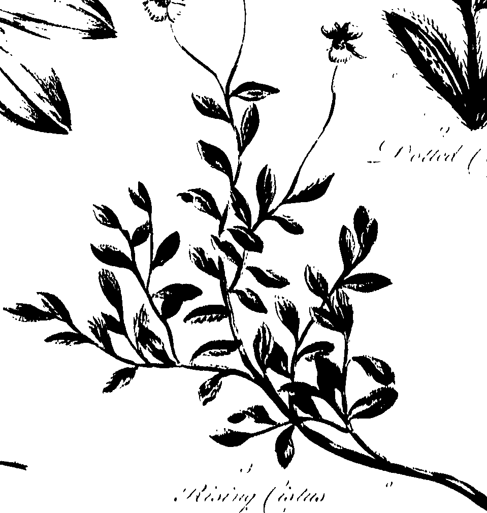 099/099320011401120_0.png