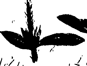 099/099320011401130_0.png