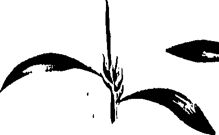 099/099320011401130_1.png