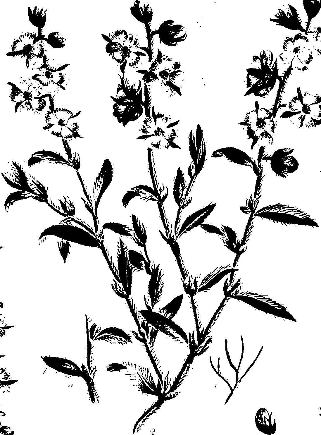 099/099320011401130_2.png