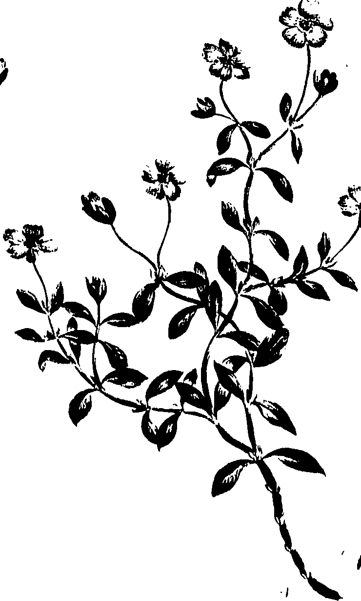 099/099320011401140_0.png