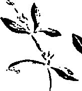 099/099320011401140_1.png