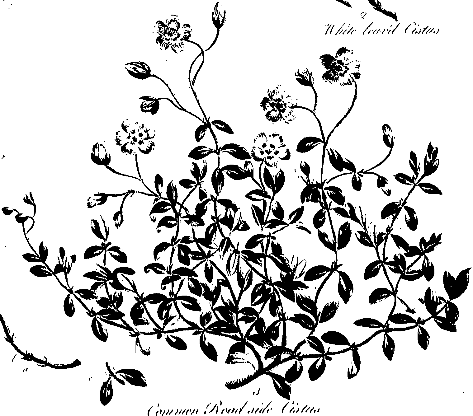 099/099320011401150_0.png