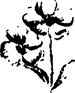 099/099320011401160_0.png