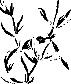 099/099320011401160_1.png