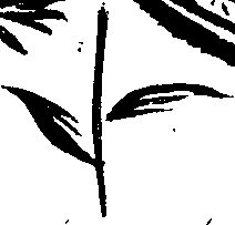 099/099320011401180_1.png