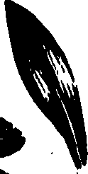 099/099320011401190_0.png
