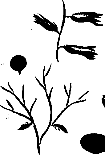 099/099320011401190_1.png