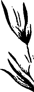 099/099320011401220_1.png