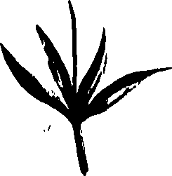099/099320011401230_0.png