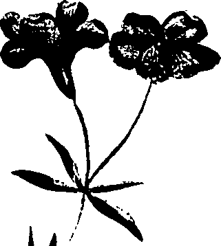 099/099320011401230_1.png