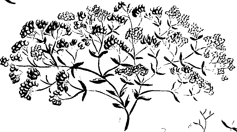 099/099320011401230_2.png